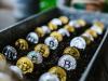 بیت کوین ۵ درصد ریخت