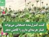 کشت کنترل‌شده خشخاش می‌تواند فشار هزینه‌ای دارو را کاهش دهد