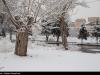 هواشناسی ایران۱۴۰۳/۱۱/۸؛بارش شدید برف و باران در ۱۰ استان