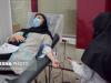 سهم ۴ درصدی بانوان یزدی از اهدای خون