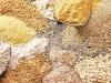 سقف ارزی قیمت جدید نهاده‌های دامی، روغن و دانه‌های روغنی تعیین شد