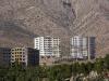 طلایی مقدم: از تغییر کاربری باغ‌های بزرگتر از ۵۰۰ متر جلوگیری می‌کنیم