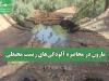 مارون در محاصره آلودگی‌های زیست محیطی
