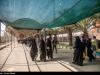 سهم ۶۴ درصدی مهران در جابه‌جایی زائران اربعین
