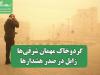 گردوخاک مهمان شرقی‌ها / زابل در صدر هشدارها