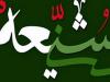 لیالی: وحدت شیعه و سنی یعنی ایجاد یک قدرت شکست‌ناپذیر