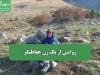 روایتی از یک زن حفاظتگر