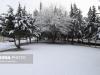 بارش ۲۷ ملی‌متری در فرومد/ بارش برف در راه استان سمنان