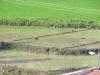 شالیکار کاشت و سیلاب درو کرد/ روستاییان سوادکوه همخانه با رودخانه