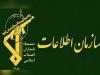 سپاه، آرمین راد را دستگیر شد