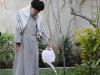 عجایب خلقت «درخت» در قرآن و کلام امام صادق (ع)