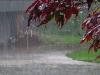 محورهای مواصلاتی استان سمنان لغزنده است