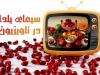 شروع برنامه‌ای سرگرم‌کننده در شب یلدا / جزئیاتی از «نسیمی‌شو» با یک دورهمی ویژه