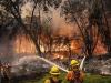 گسترش حریق در جنگل‌های شمال کالیفرنیا/ حجم آتش دوبرابر شد