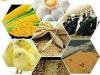 پروانه کسب کشاورزی برای دریافت وام معتبر شد