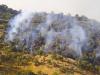 آتش سوزی جنگل‌های منطقه «شلال دان» شهرستان باشت مهار شد