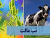افزایش بیماری تب مالت در خراسان شمالی