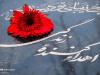 جوان ۲۴ ساله شانزدهمین اهدای عضو را در یزد رقم زد