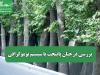 بررسی درختان پایتخت با سیستم توموگرافی