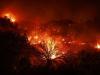 وقوع آتش سوزی مهیب در کالیفرنیا و تخلیه یک هزار نفر
