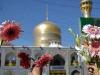 17 ربیع‌الاول و حرم امام مهربانی‌ها نوبهاری دیگر است
