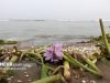 تغییرات سطح آب دریای خزر سناریوی زمین‌شناختی است