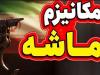 نگاه راهبردی ایران به شرق، لازمه توسعه در عصر پساماشه