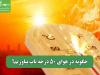 چگونه در هوای 50 درجه تاب بیاوریم؟