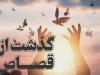رهایی یک محکوم به قصاص در سلماس بعد از ۱۲ سال