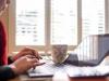 ادارات البرز پنجشنبه ها دورکار شدند