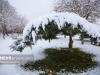 بارش برف در ارتفاعات استان سمنان؛ جاده‌ها لغزنده می‌شود