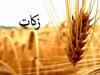 مردم آذربایجان غربی امسال ۱۲۵ میلیارد تومان زکات داده اند