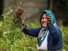 بانوان روستایی سرمایه‌های خاموش توسعه اجتماعی هستند