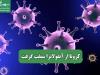 کرونا از آنفولانزا سبقت گرفت