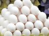 ادامه خرید حمایتی تخم‌مرغ تا پایان مرداد/ صادرات به سودان آغاز شد