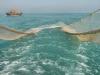 توقیف ۲ شناور صید ترال در آب‌های استان بوشهر