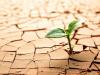 عبور از بحران خشکسالی با تغییر رویکرد سنتی