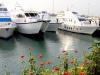 خط کشتیرانی چابهار-مسقط بطور رسمی فعال میشود