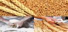 یارانه گندم در بودجه سال آینده 300 همت شد