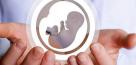 هشدار ایلان ماسک درباره کاهش نرخ فرزندآوری