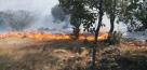 تصاویر هوایی از آتش‌سوزی جنگل‌های پلدختر