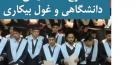 مدرک هست، مهارت نیست؛ چرا فارغ‌التحصیلان بیکارند؟