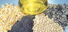 آغاز ثبت سفارش دانه‌های روغنی از امروز 