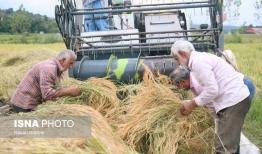 اختصاص ۱۸۸ میلیارد تومان تسهیلات مکانیزاسیون به کشاورزان یزدی
