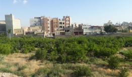 مصرف متعادل کودهای شیمیایی یارانه ای در قم