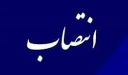 هادی نوروزی عضو کارگروه گردشگری مناطق آزاد کل کشور شد