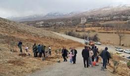 کاشت ۳۰۰۰ اصله نهال در بروجرد