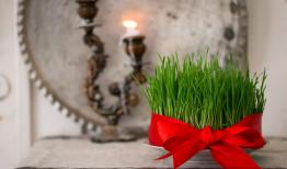 سیزده به در؛فرصتی برای گره زدن زندگی به طبیعت