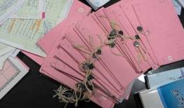 تسریع روند تعویض اسناد دفترچه‌ای در یزد/تداوم صدرنشینی صدور اسناد موقوفات و روستاها