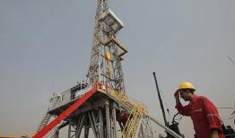 وزارت نفت به دنبال توسعه همکاری با شرکت‌های ایرانی